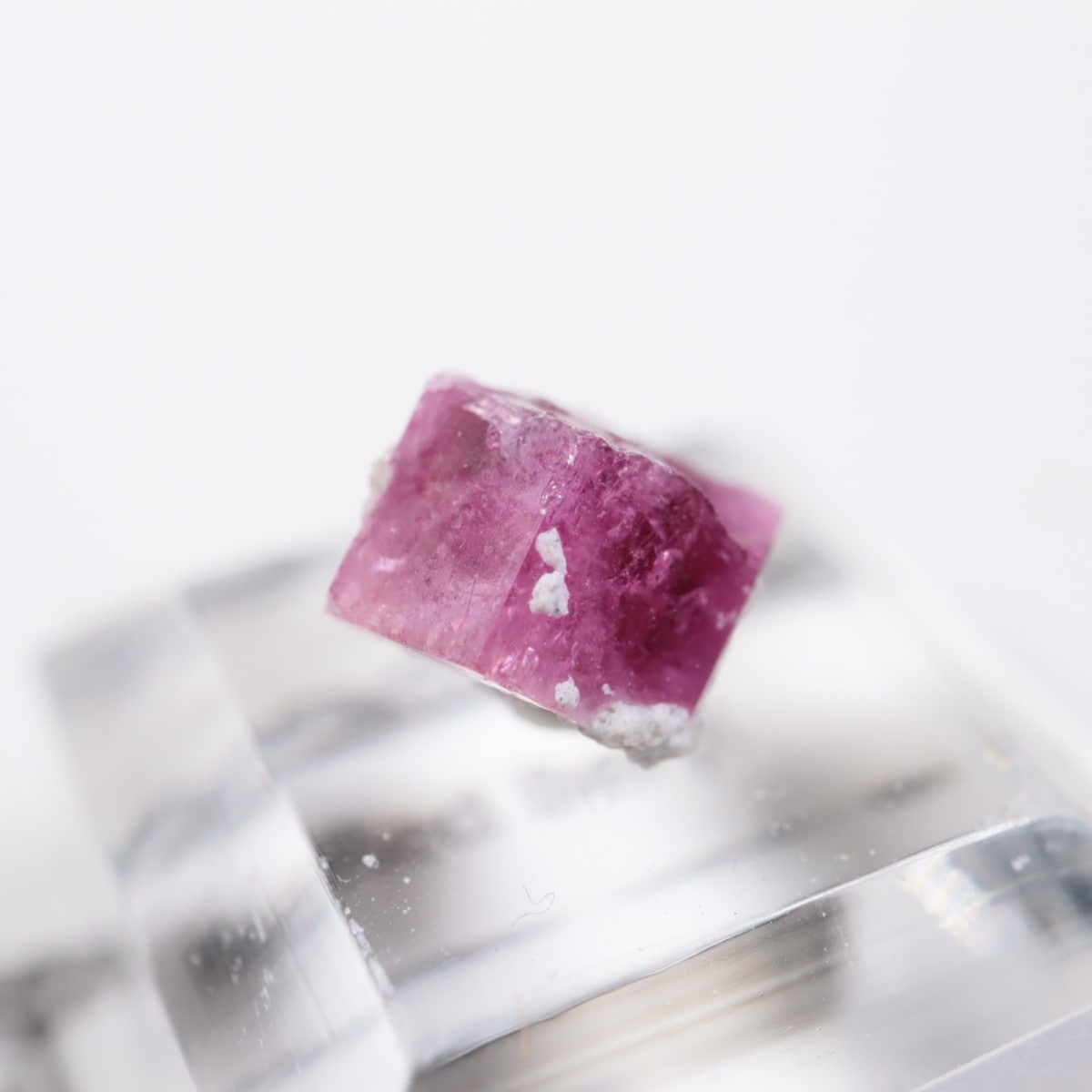 �楿�� ��åɥ٥��