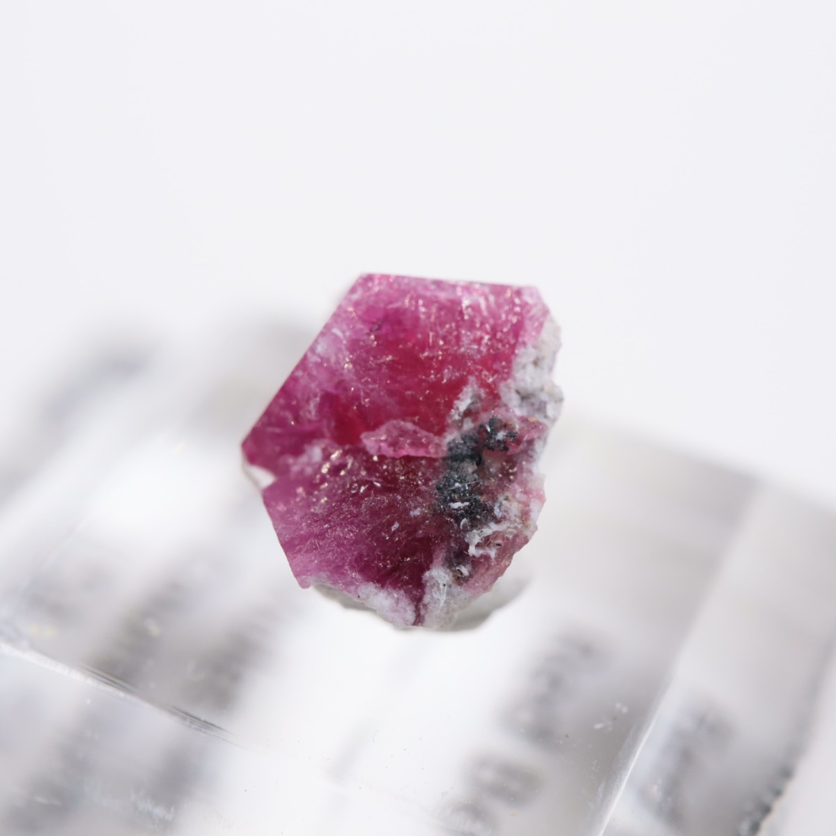 �楿�� ��åɥ٥��