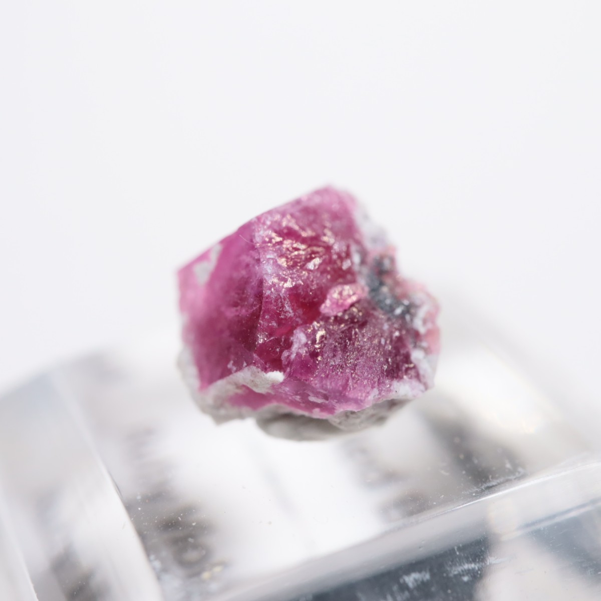 �楿�� ��åɥ٥��