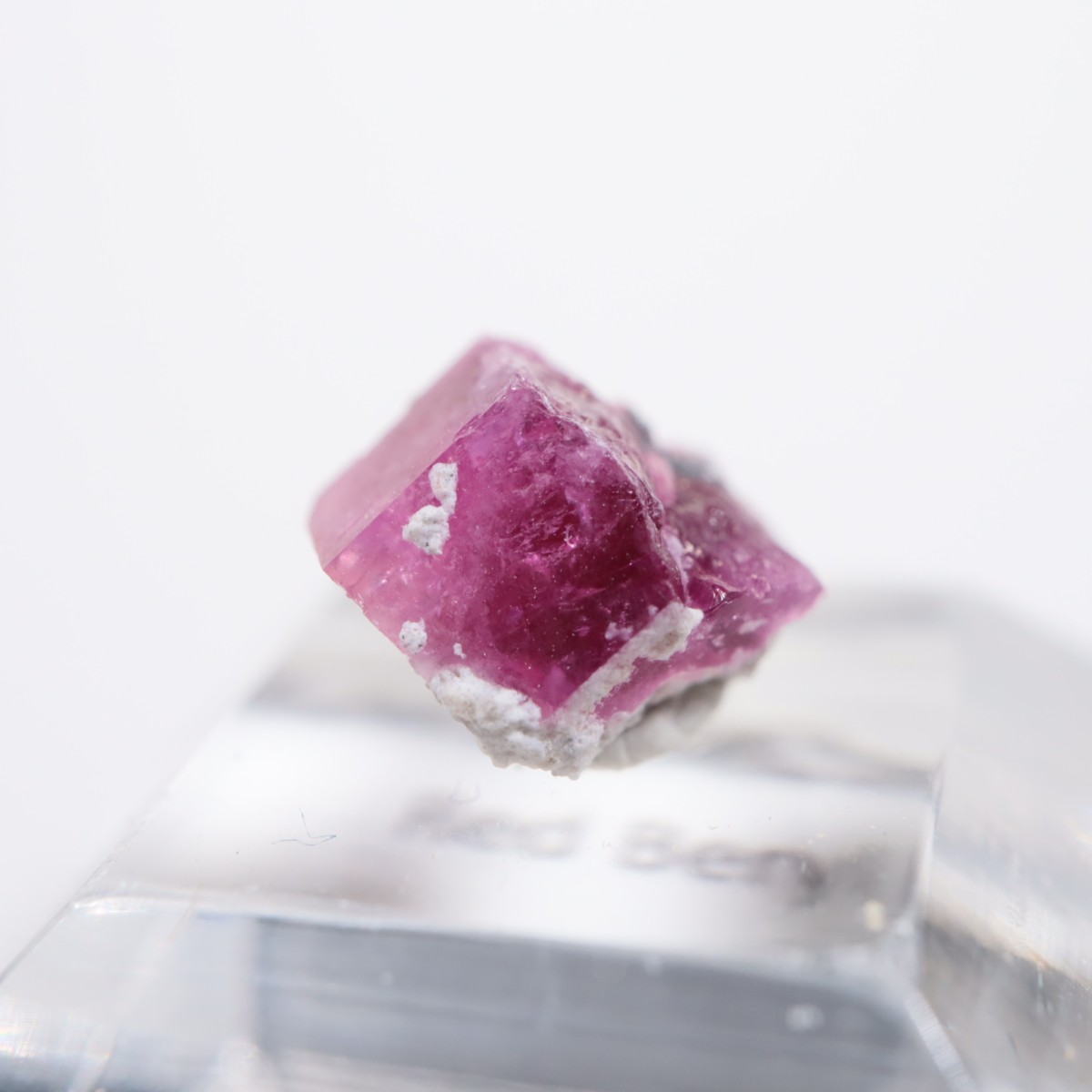 �楿�� ��åɥ٥��