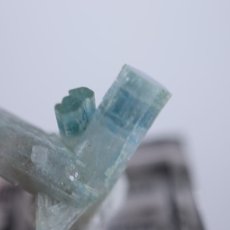 �ʥߥӥ����������ޥ��