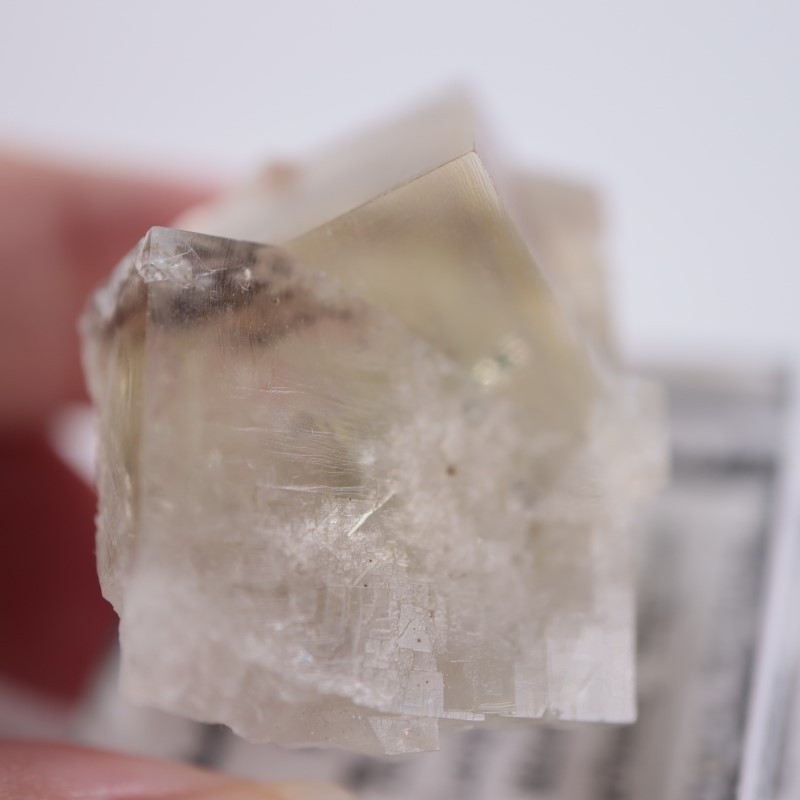 The Bull Vein フローライト | 鉱物標本,ハ行,フローライト⁄蛍石