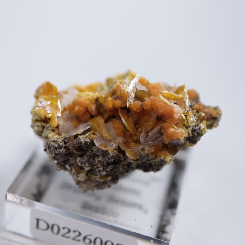 ウルフェナイト ミメタイト 共生標本 メキシコ産 / 原石 天然石 鉱物標本 ウルフェナイト ミメタイト 共生標本 メキシコ産 / 原石 天然石