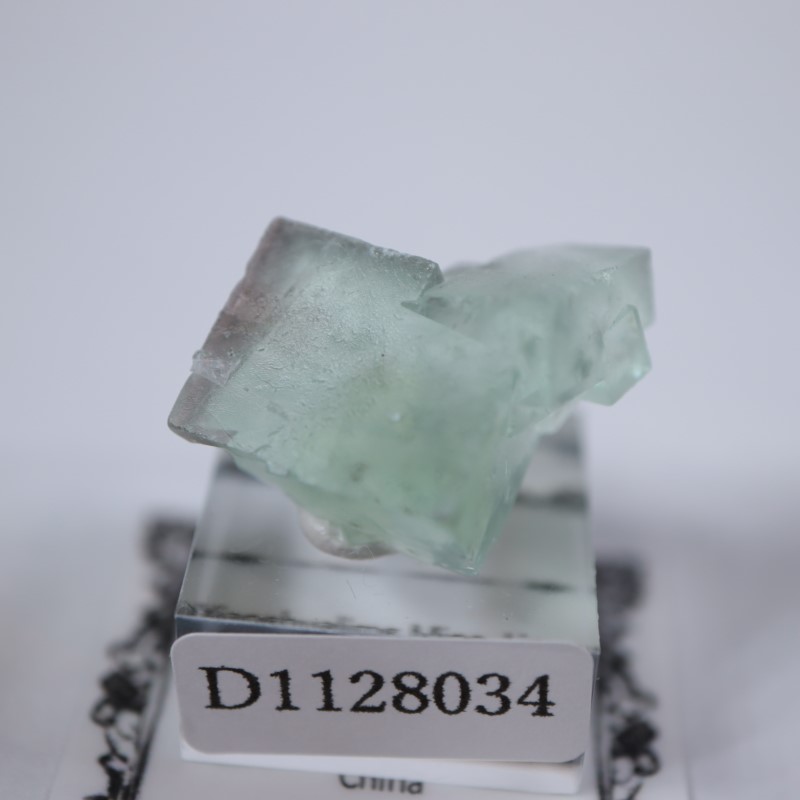 �����ե�����󻺡�����