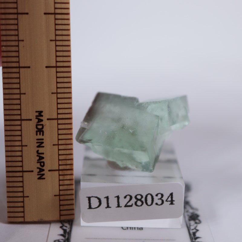 �����ե�����󻺡�����