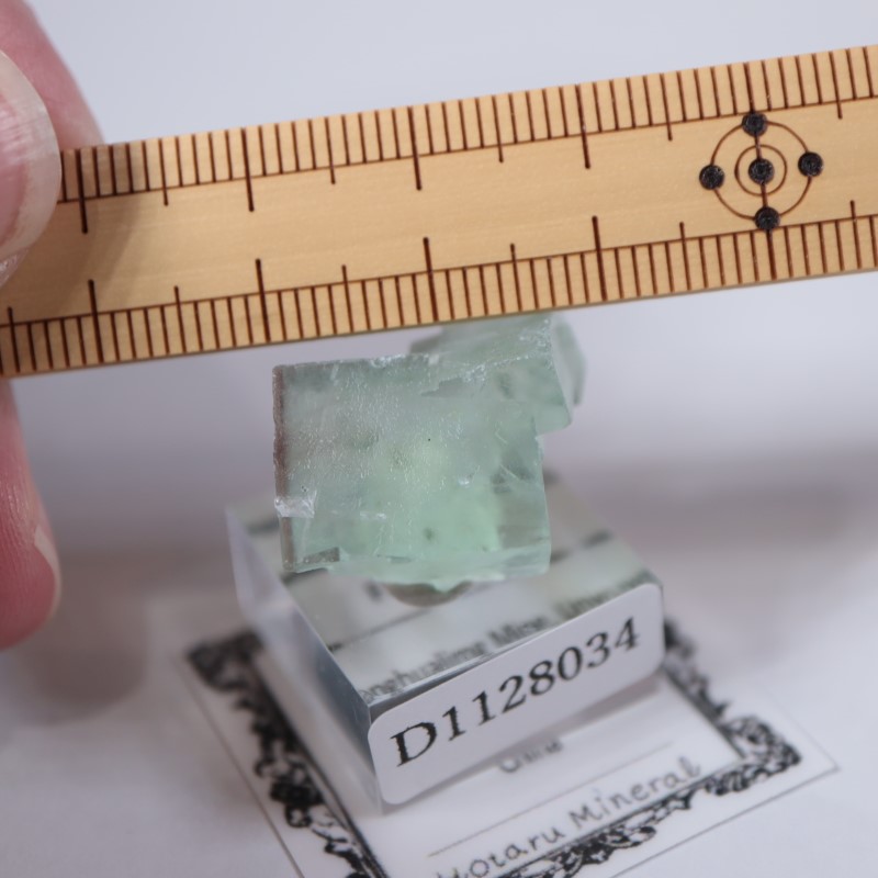 �����ե�����󻺡�����