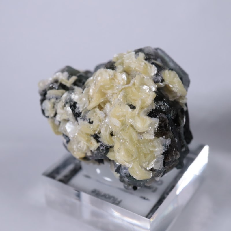 �����󥴹ۻ����ե����饤��