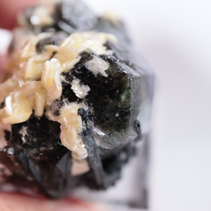 �����󥴹ۻ����ե����饤��