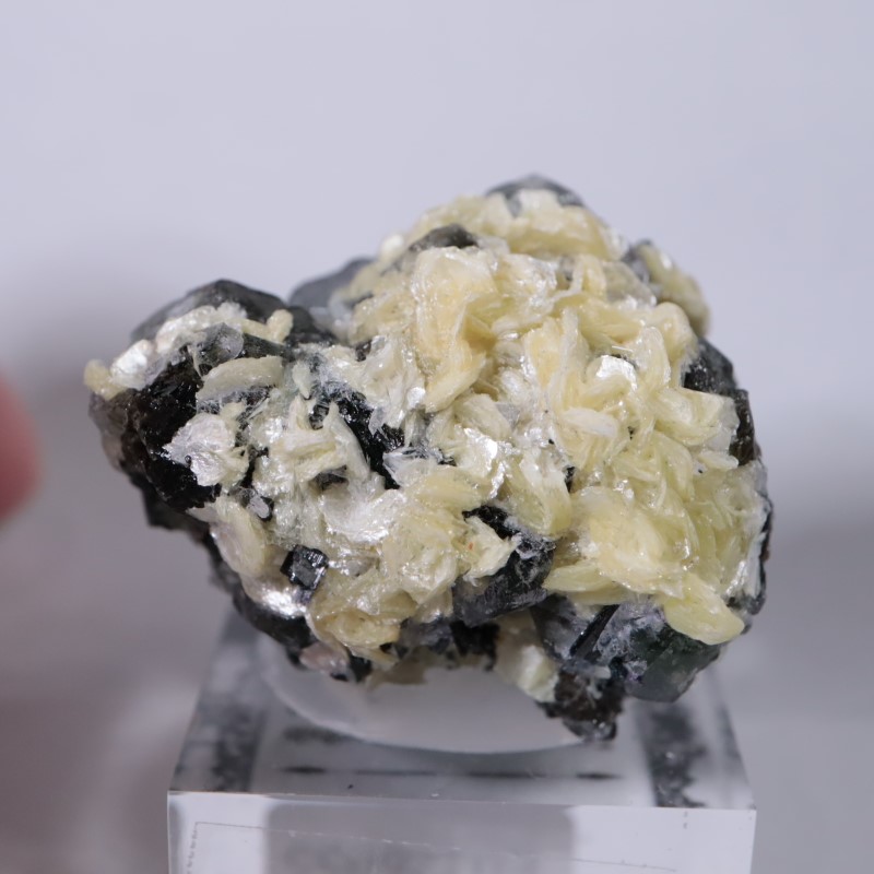 �����󥴹ۻ����ե����饤��