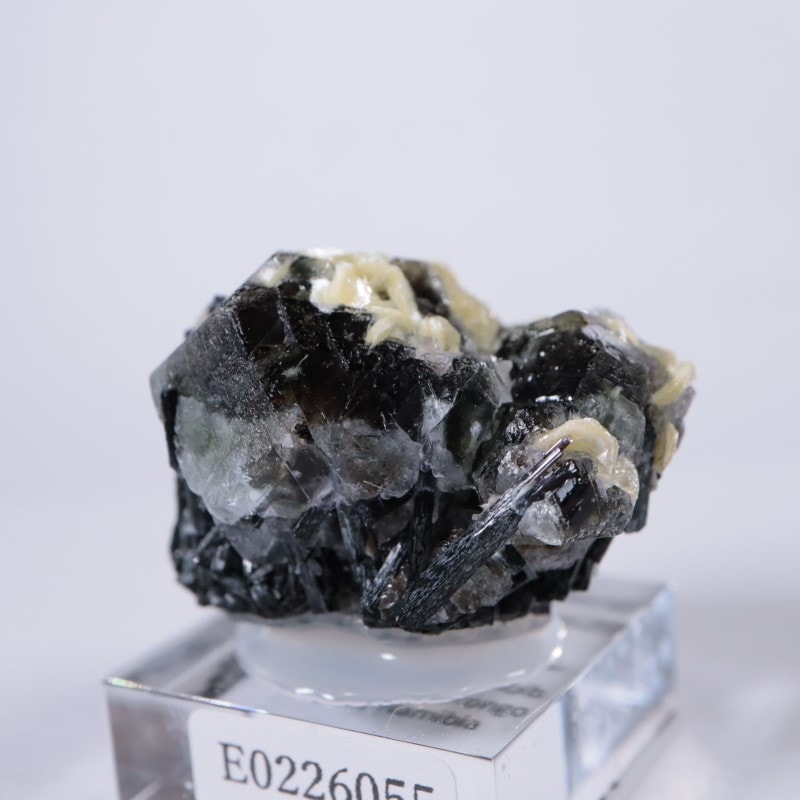 �����󥴹ۻ����ե����饤��