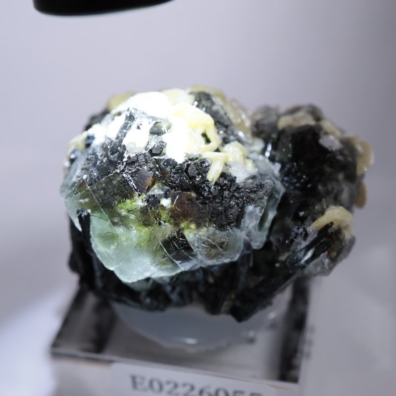 �����󥴹ۻ����ե����饤��