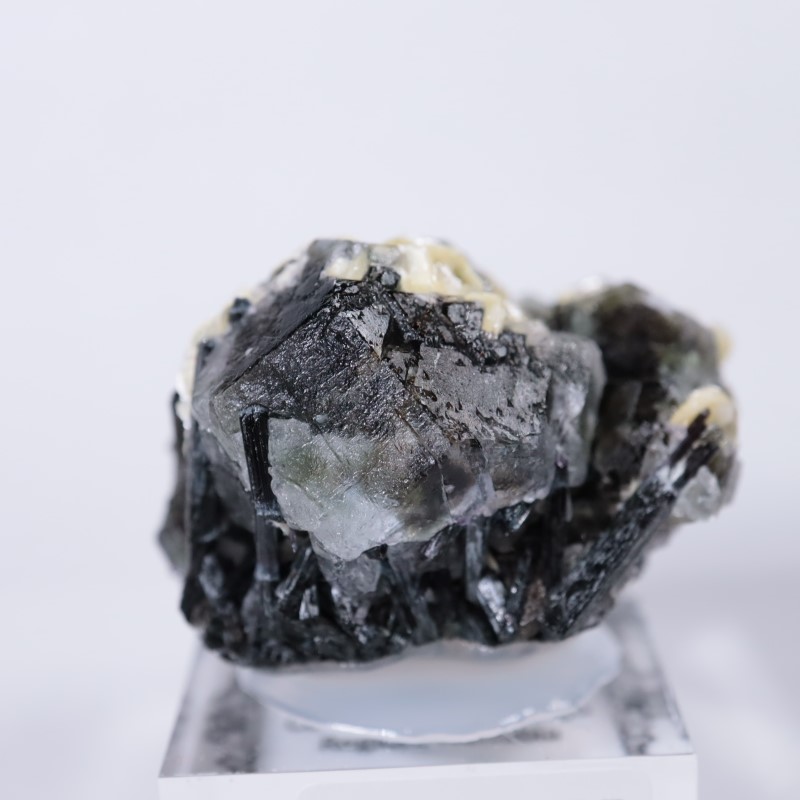 �����󥴹ۻ����ե����饤��