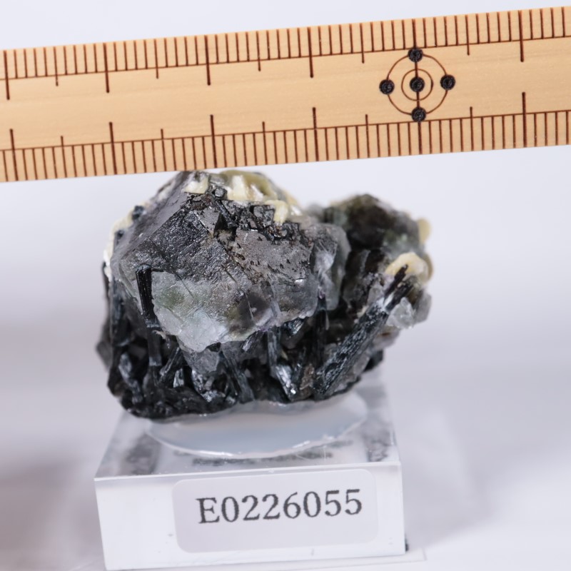 �����󥴹ۻ����ե����饤��