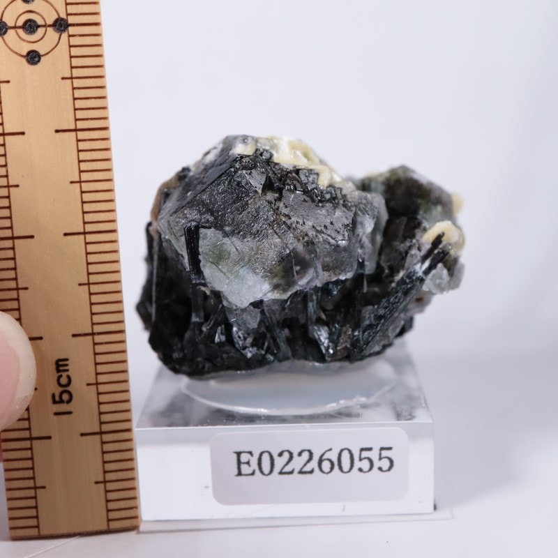 �����󥴹ۻ����ե����饤��