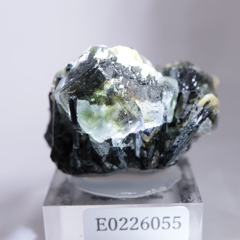 �����󥴹ۻ����ե����饤��