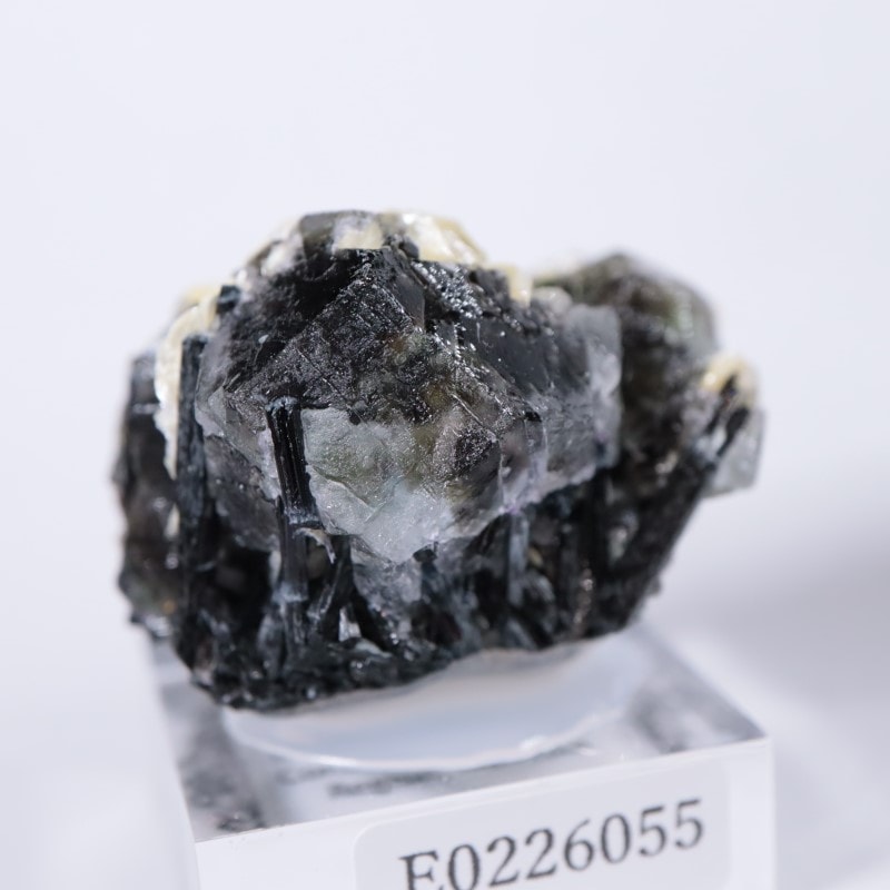 �����󥴹ۻ����ե����饤��