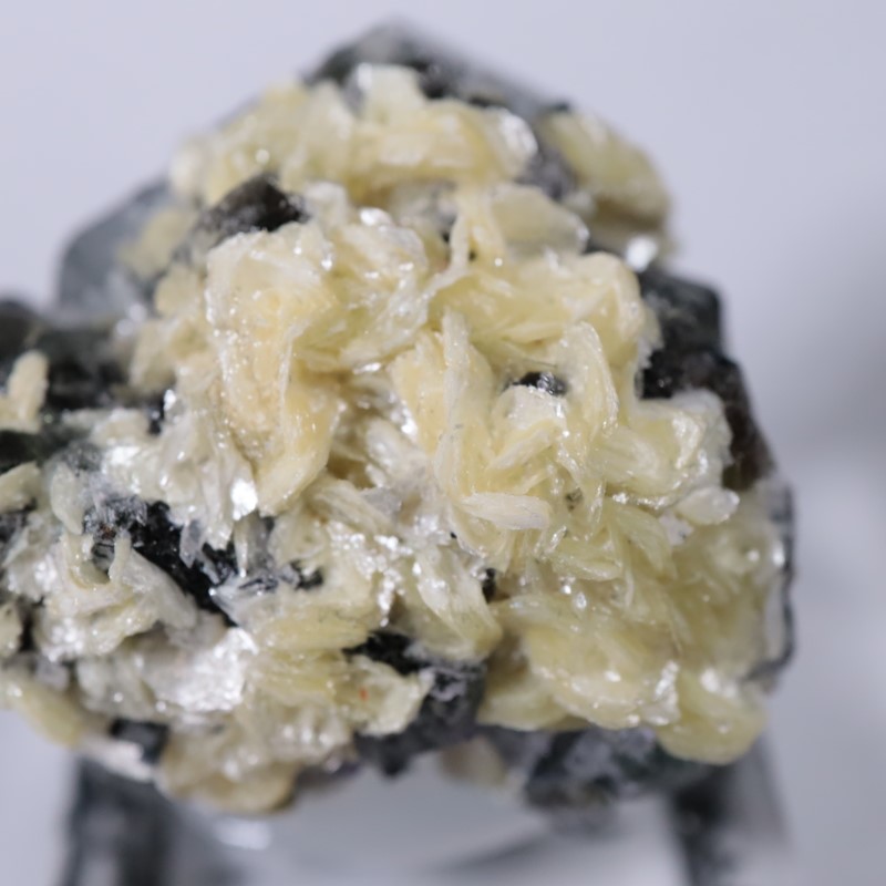 �����󥴹ۻ����ե����饤��