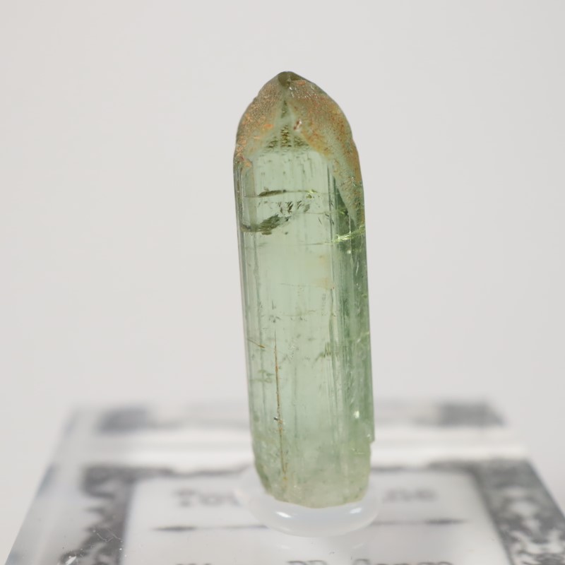 ���󥴻����ȥ�ޥ��