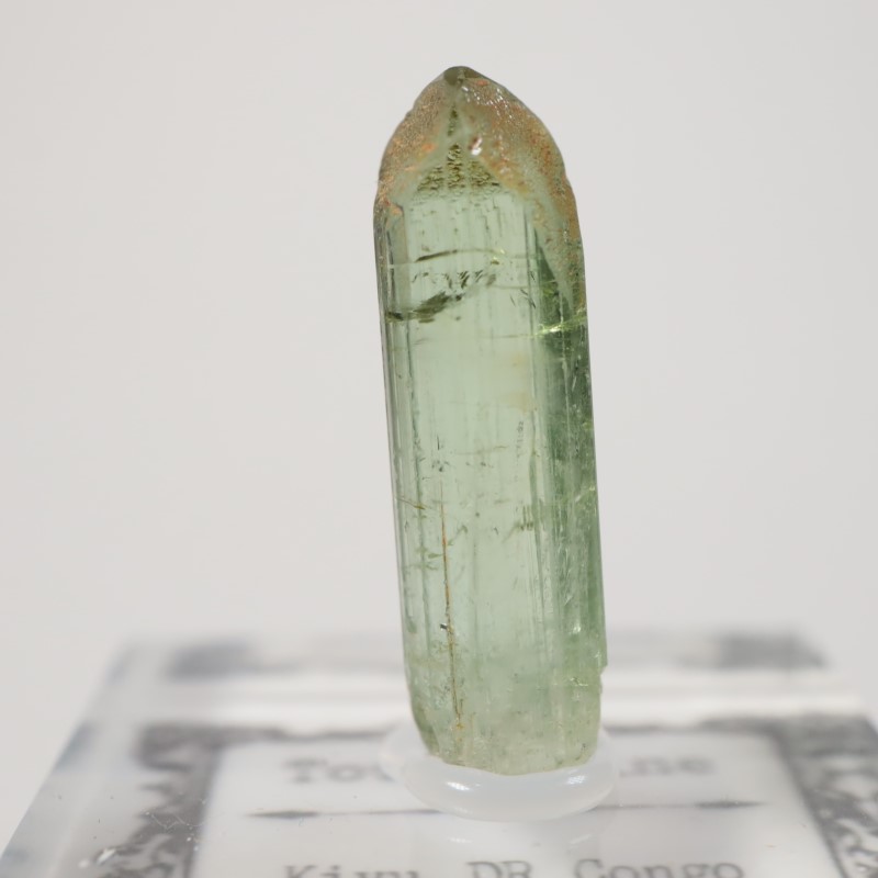 ���󥴻����ȥ�ޥ��