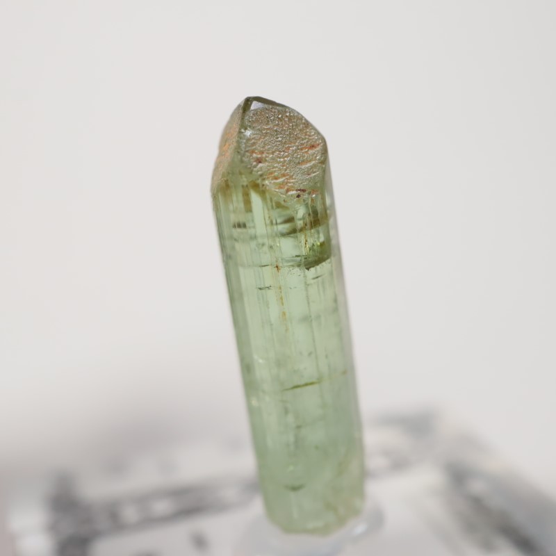 ���󥴻����ȥ�ޥ��