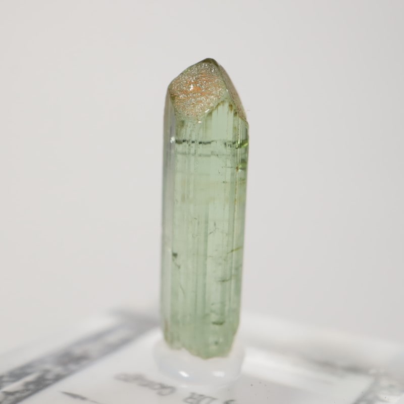 ���󥴻����ȥ�ޥ��