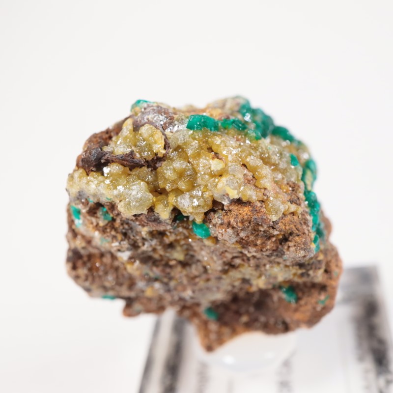 外国産鉱物標本 コンゴ産母岩付きダイオプテーズ 原石 コンゴ産 ダイオプテーズ | 鉱物標本,タ行,ダイオプテーズ/翠