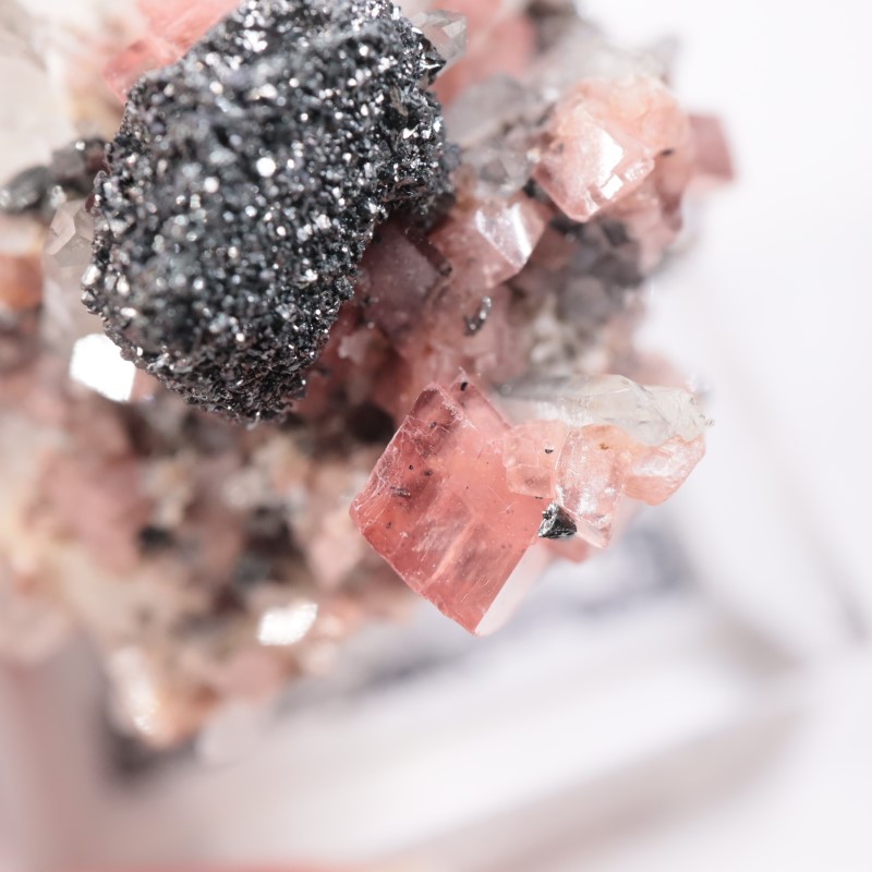 �ڥ롼���������ɥ���������