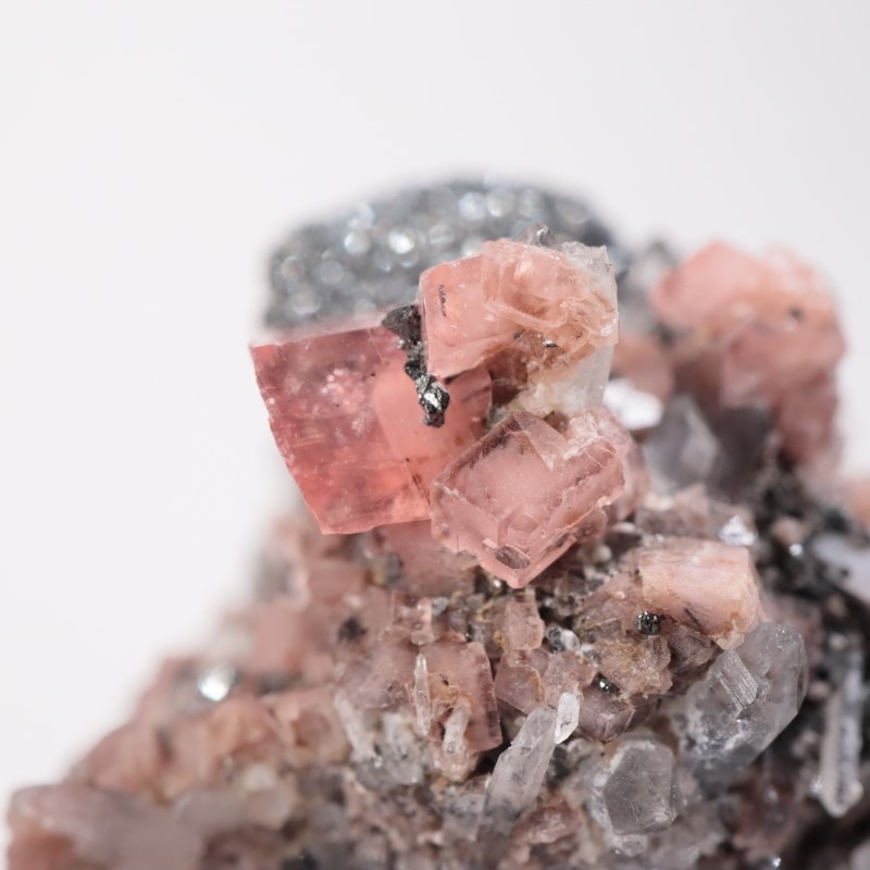 �ڥ롼���������ɥ���������