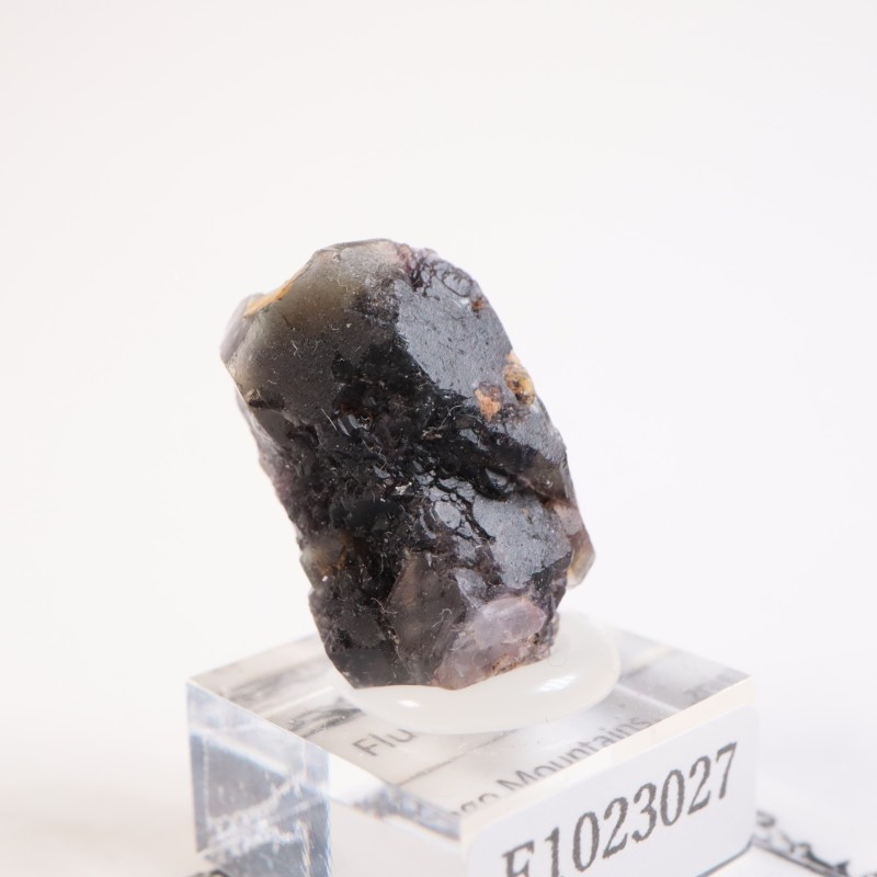 �����󥴹ۻ����ե����饤��