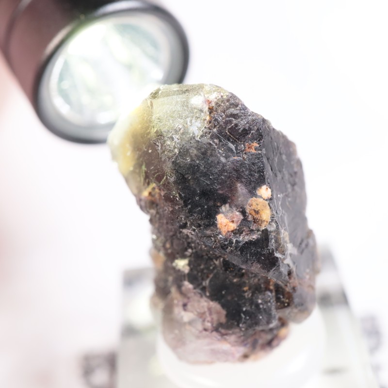 �����󥴹ۻ����ե����饤��