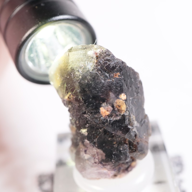 �����󥴹ۻ����ե����饤��