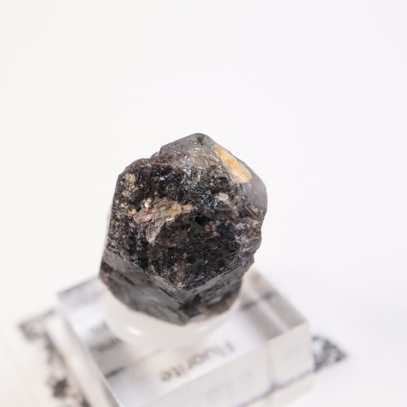 �����󥴹ۻ����ե����饤��