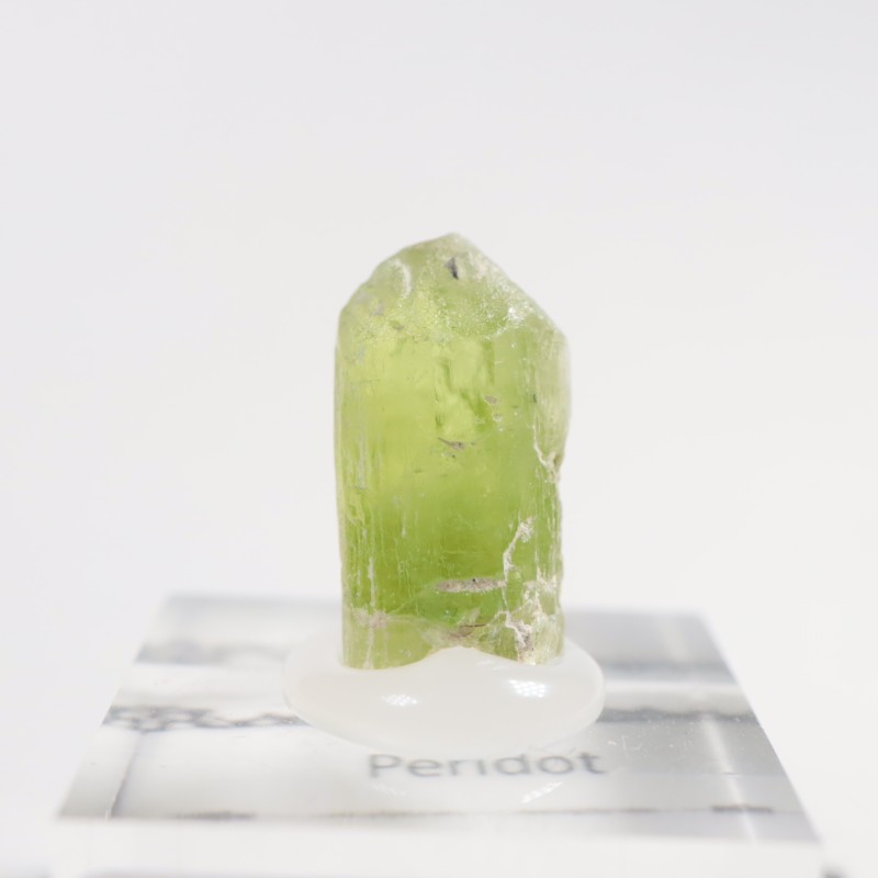 �ѥ������� �ڥ�ɥå�