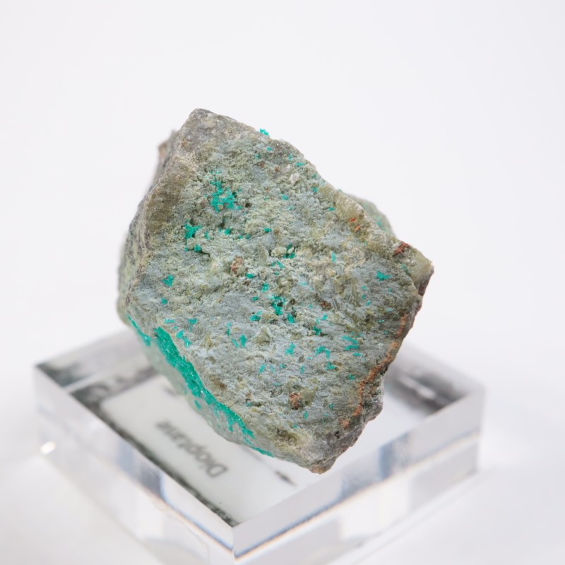 ���꥾�ʽ��� �������ץơ���