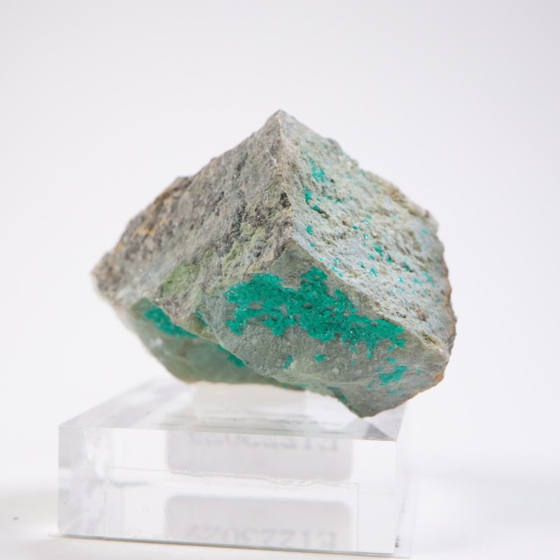 ���꥾�ʽ��� �������ץơ���