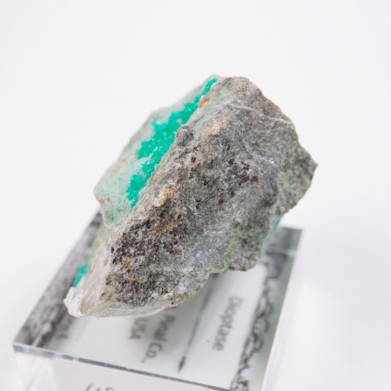 ���꥾�ʽ��� �������ץơ���