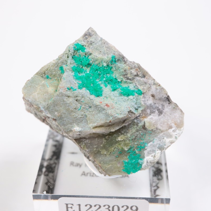 ���꥾�ʽ��� �������ץơ���