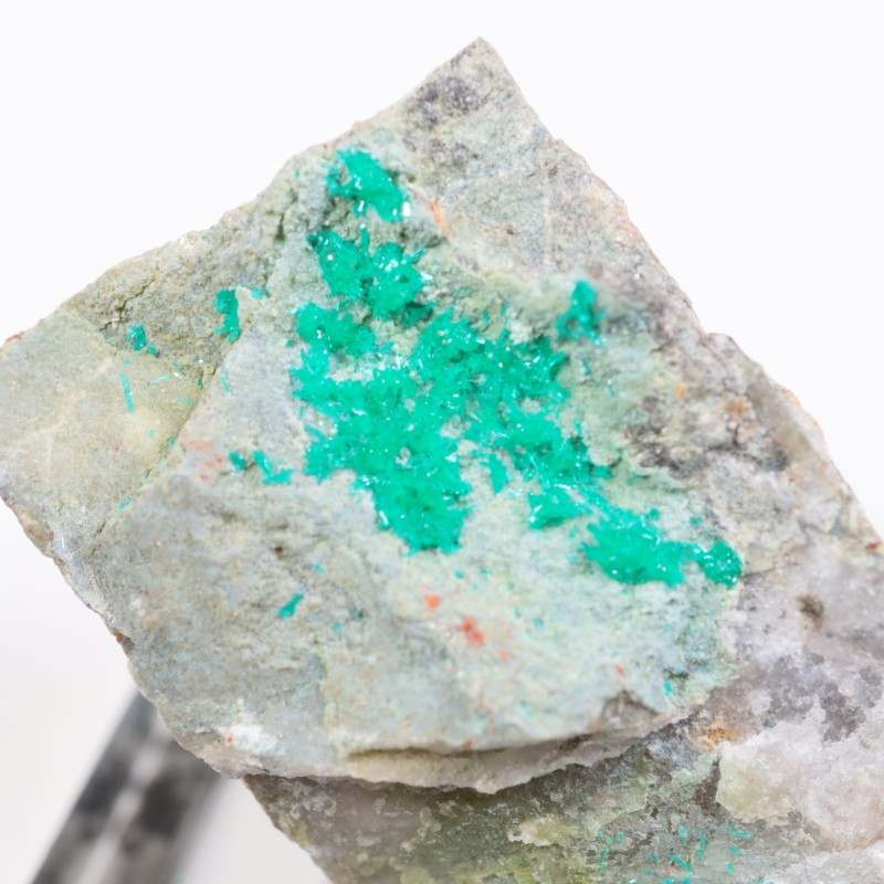 ���꥾�ʽ��� �������ץơ���