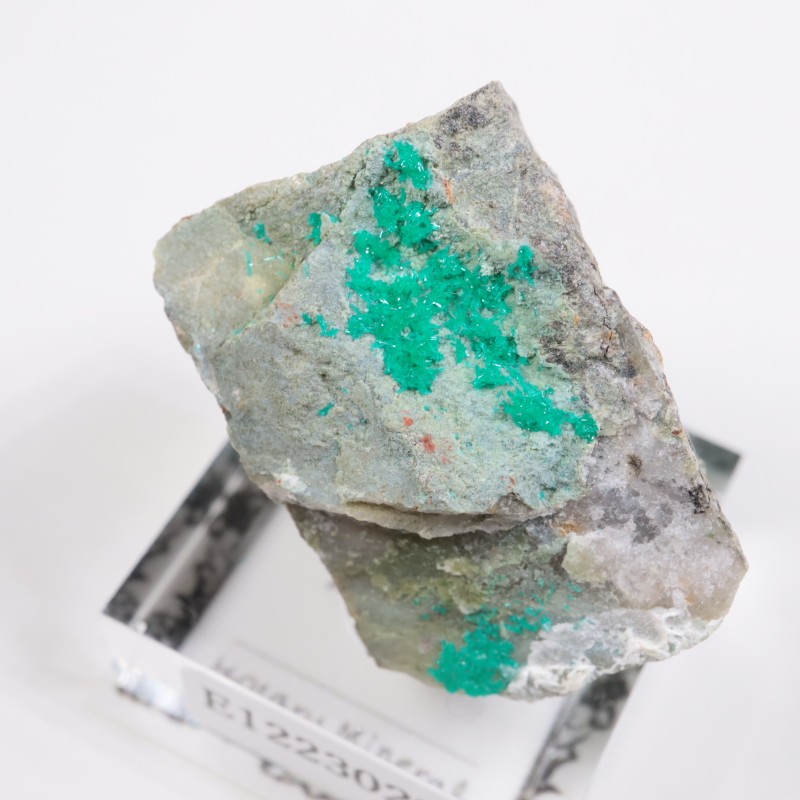 ���꥾�ʽ��� �������ץơ���