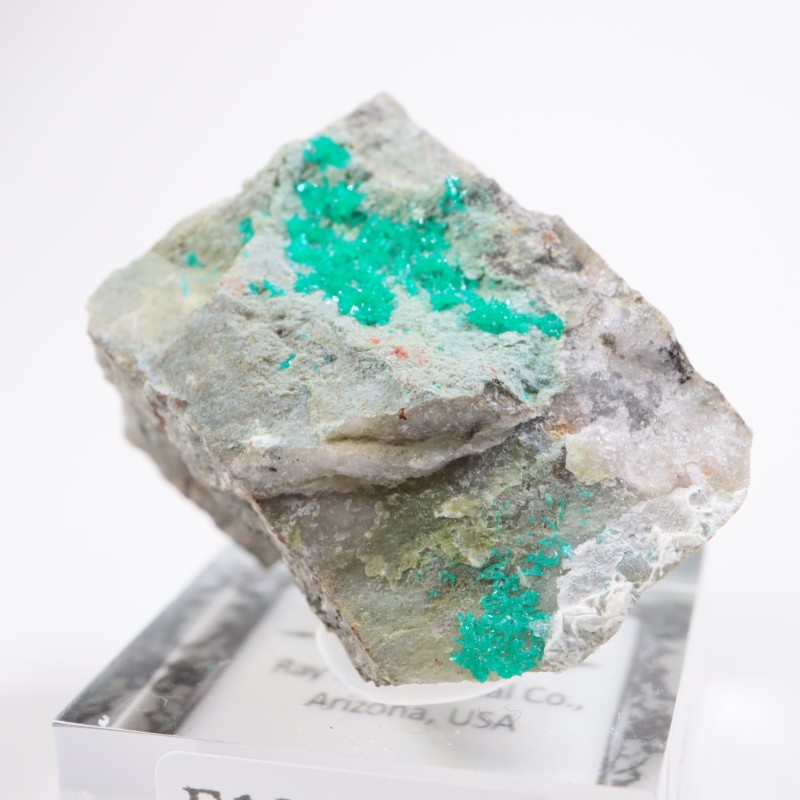 ���꥾�ʽ��� �������ץơ���