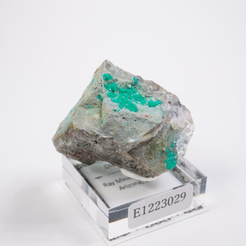 ���꥾�ʽ��� �������ץơ���