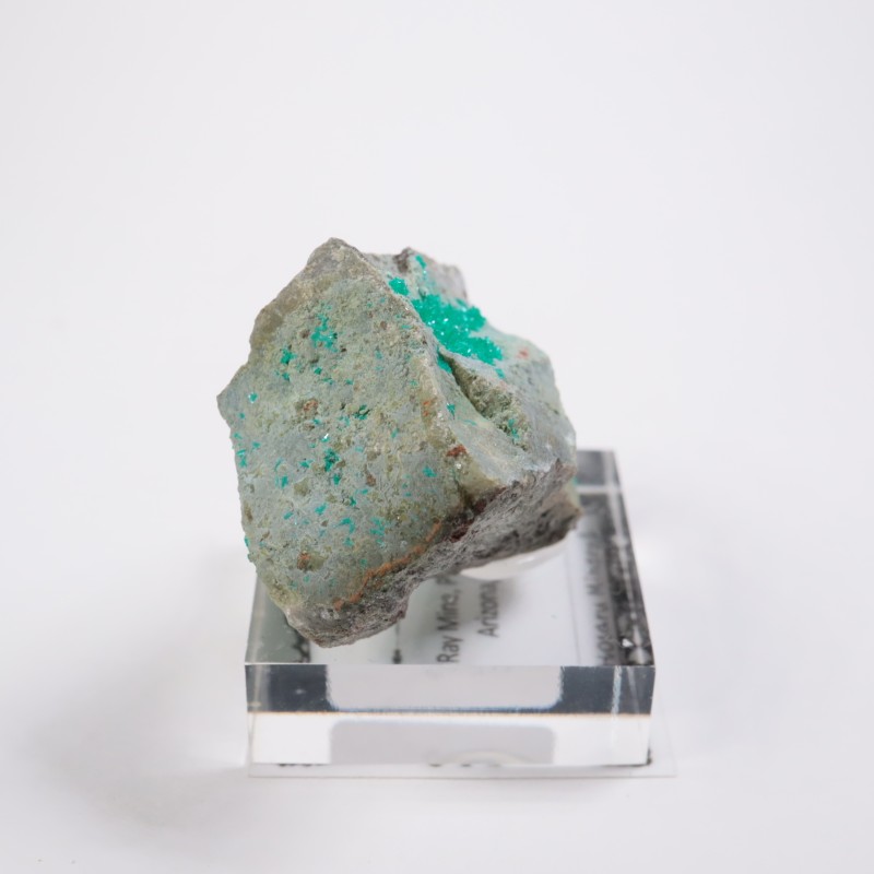 ���꥾�ʽ��� �������ץơ���