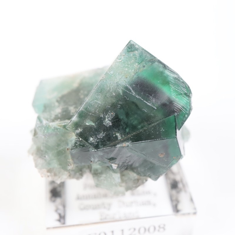 Fairy Holes Pocket �ե����饤��