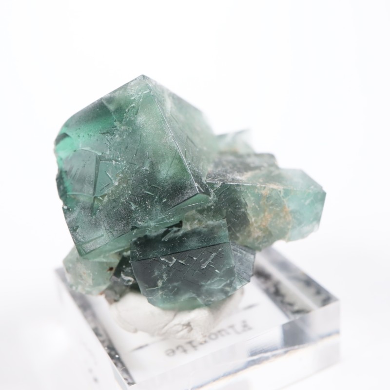 Fairy Holes Pocket �ե����饤��