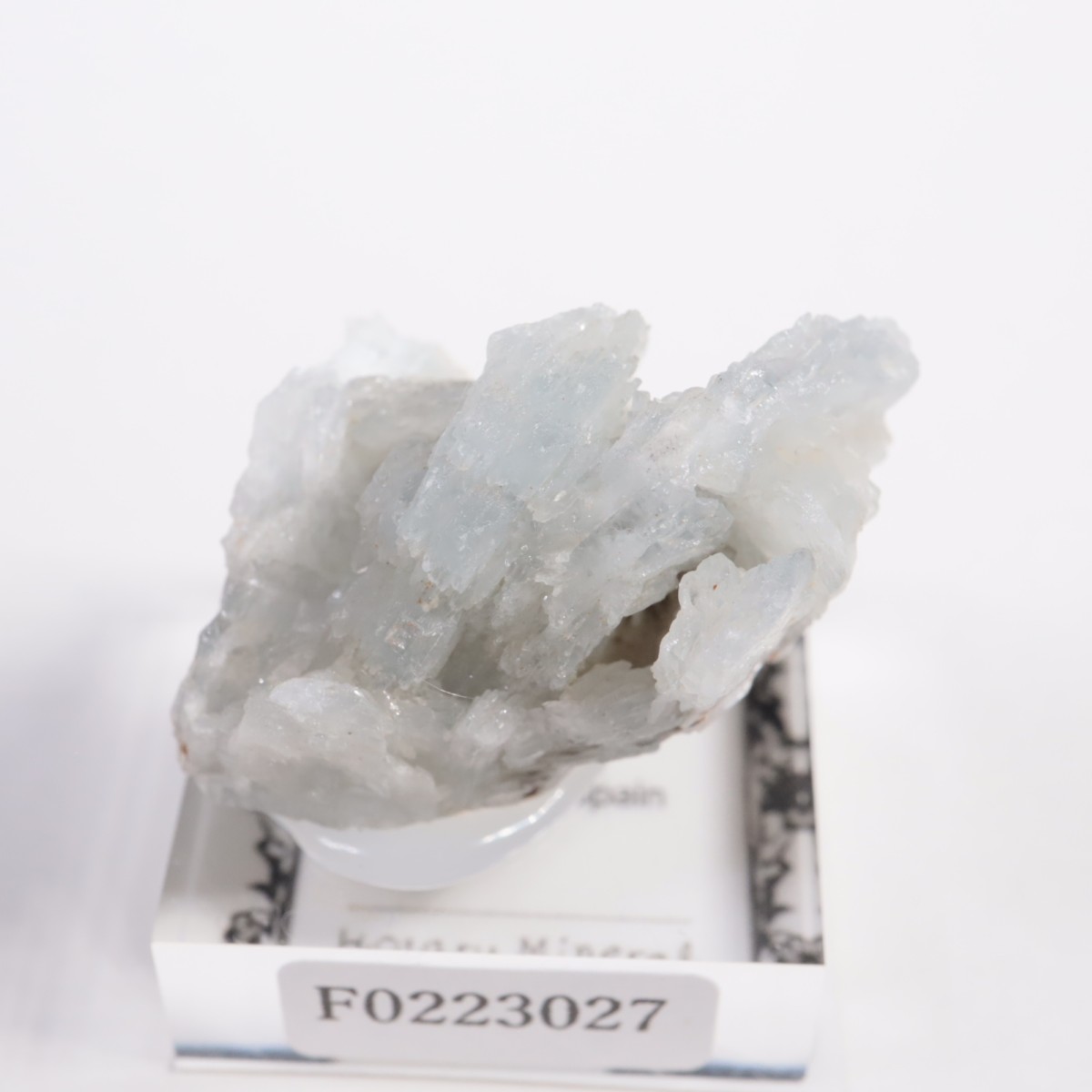 ���ڥ��� �Х饤��