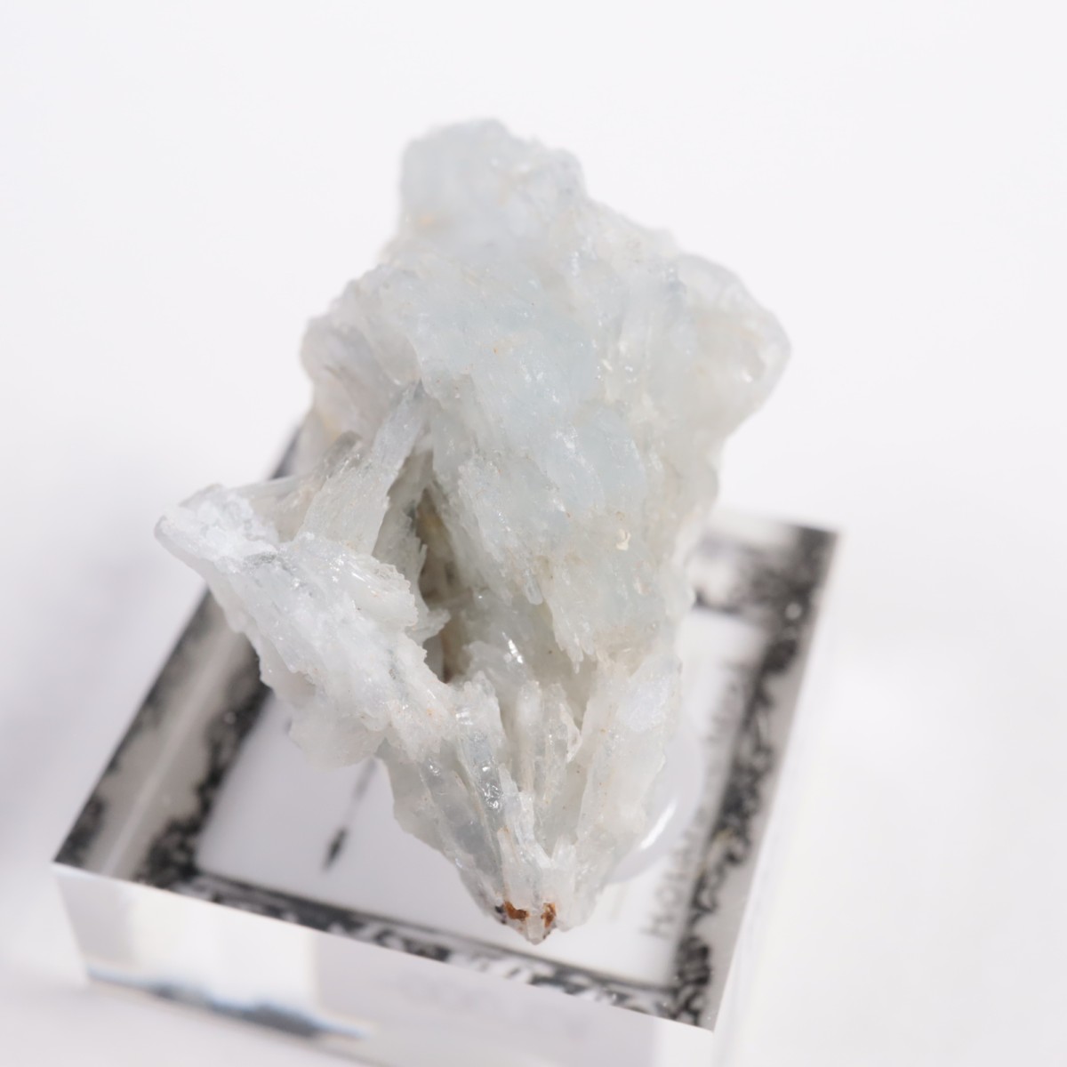 ���ڥ��� �Х饤��