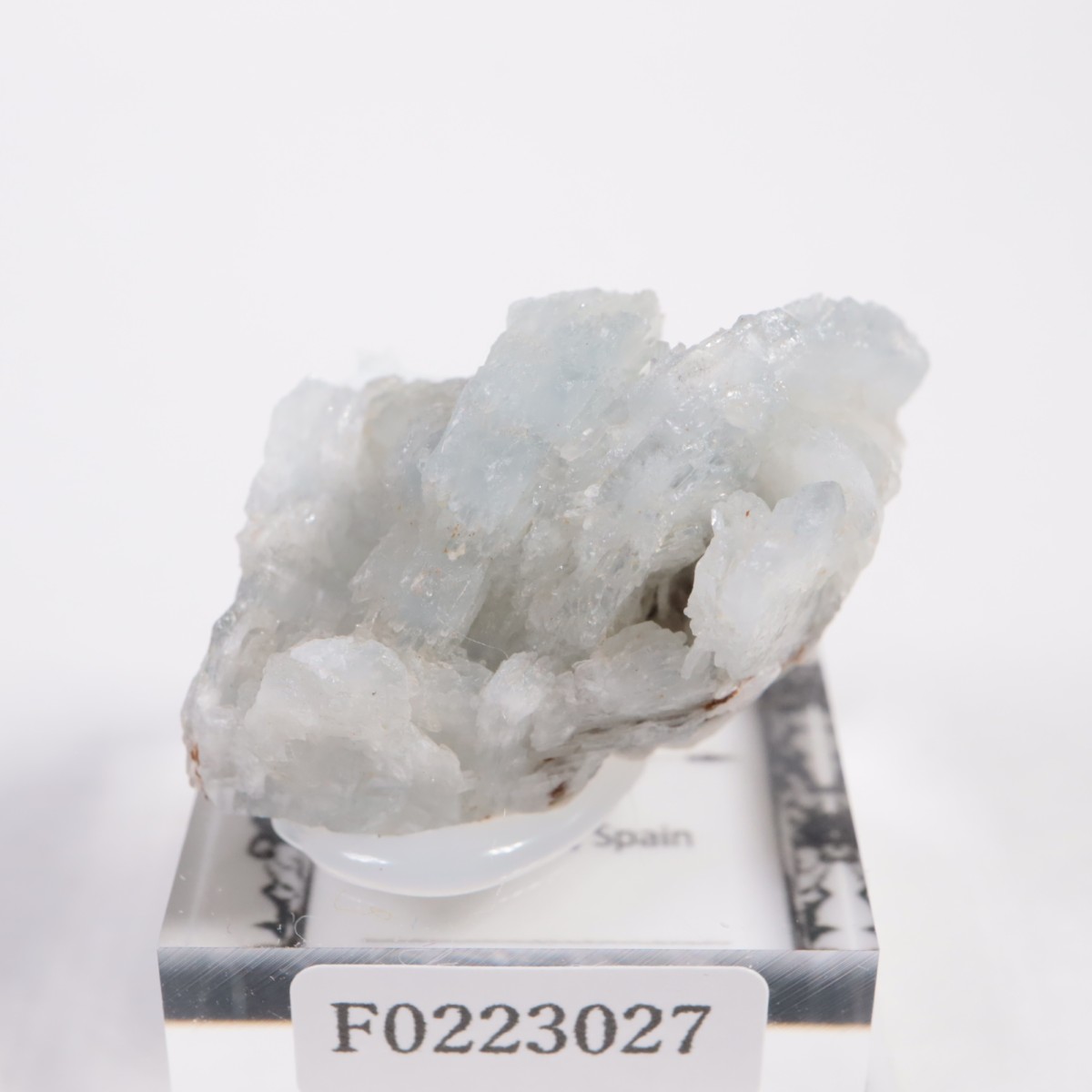 ���ڥ��� �Х饤��