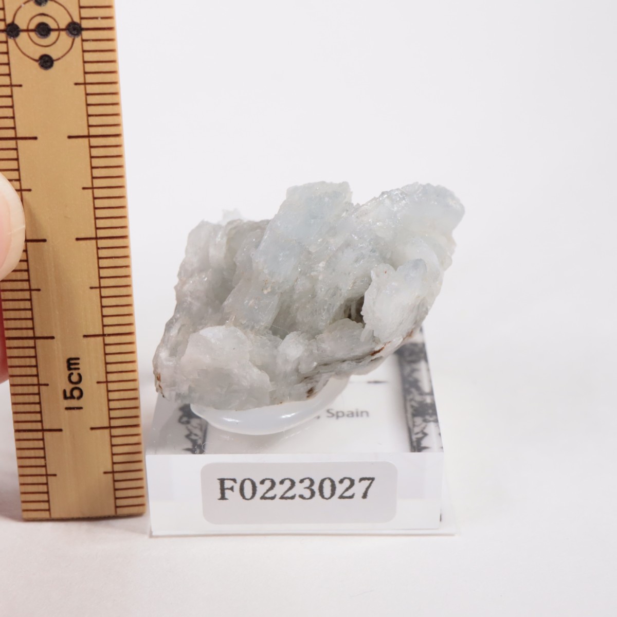 ���ڥ��� �Х饤��