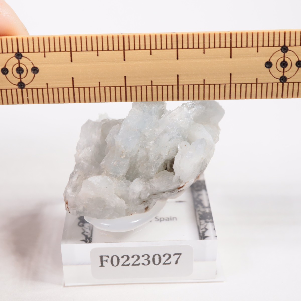 ���ڥ��� �Х饤��