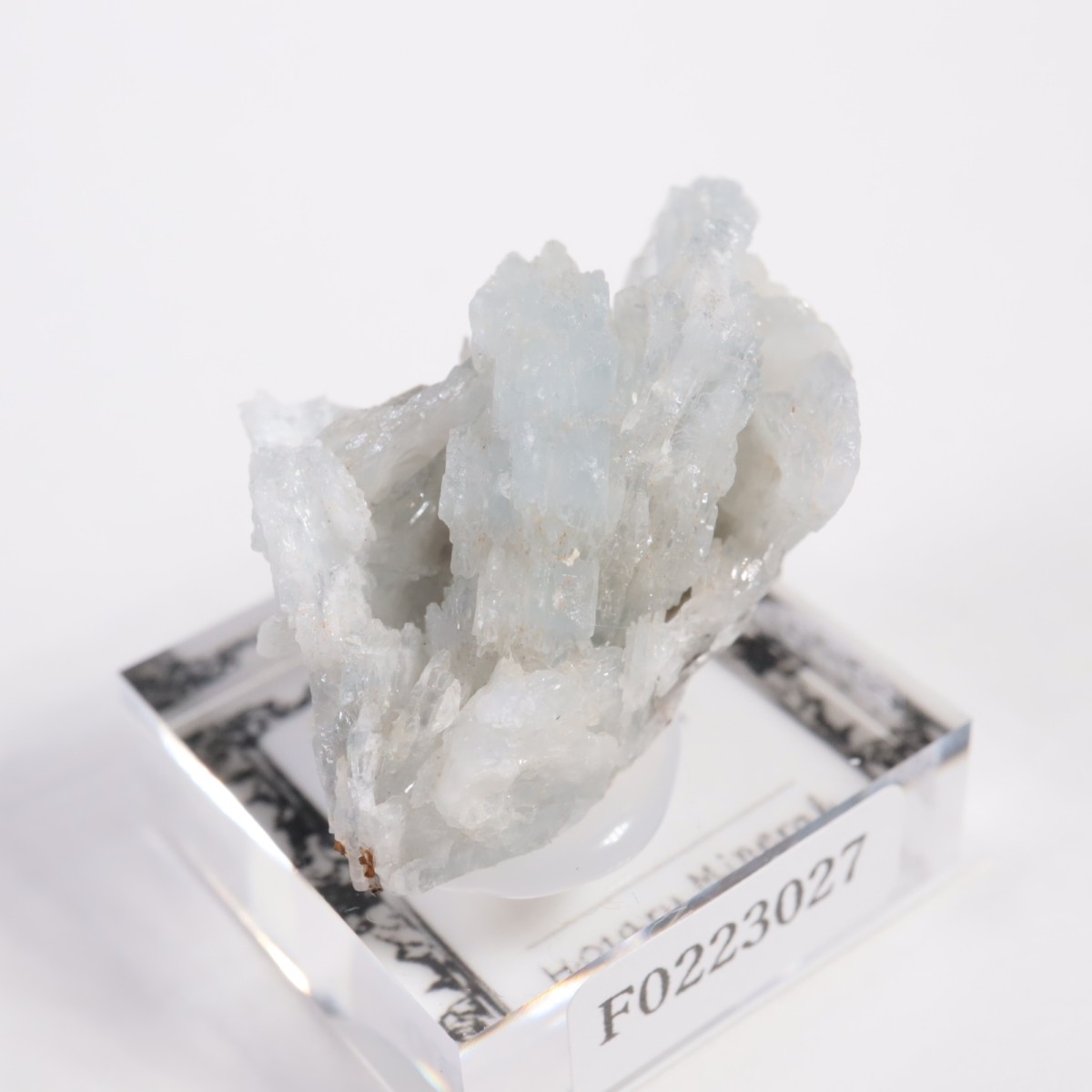 ���ڥ��� �Х饤��